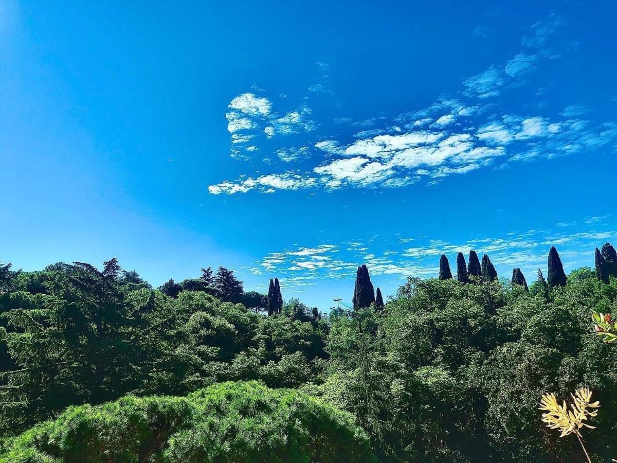 Happy Holiday In Rome B&B Buitenkant foto