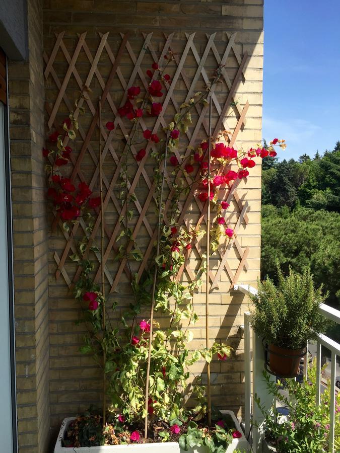 Happy Holiday In Rome B&B Buitenkant foto