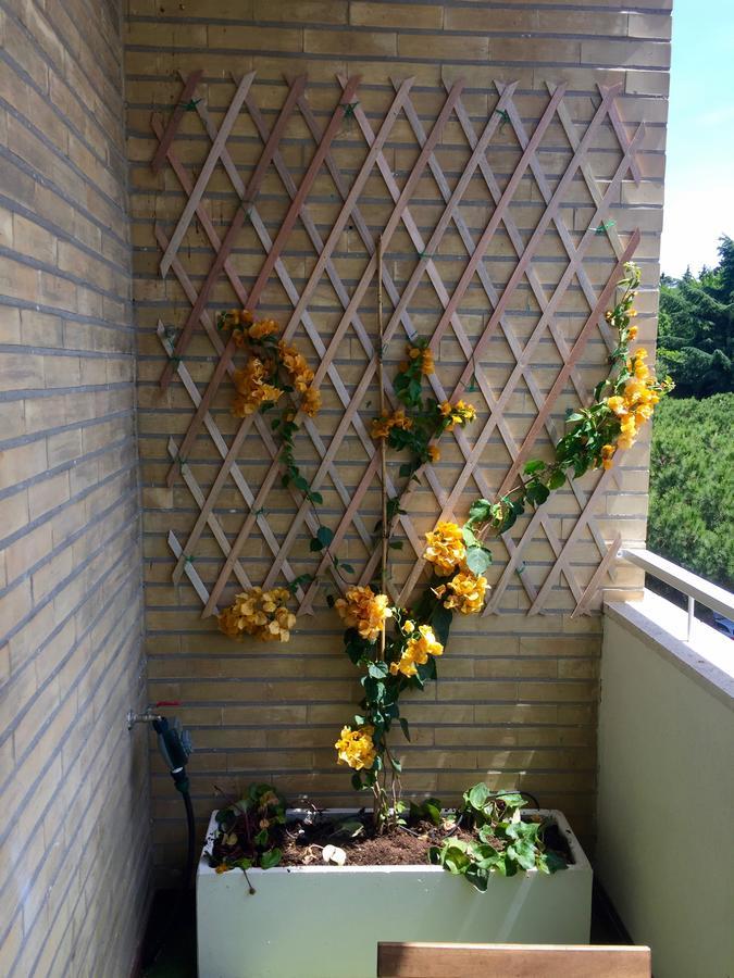 Happy Holiday In Rome B&B Buitenkant foto